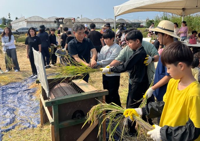 2025 신평 생태 마을 제주 논농사 가을걷이 축제