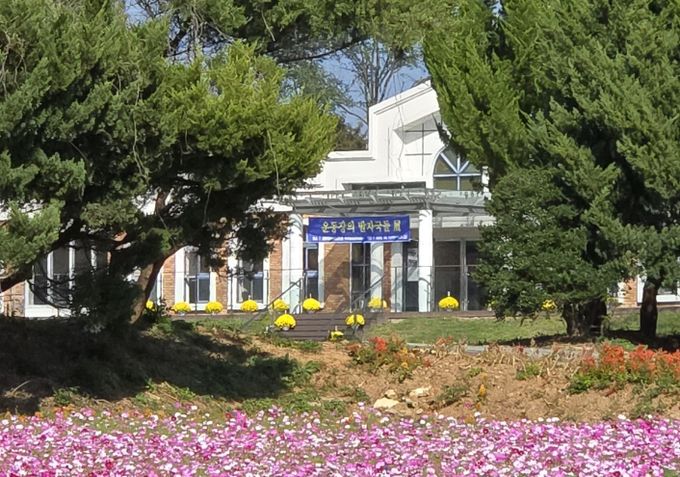 운동장의 발자국들 전시회 코스모스와 함께