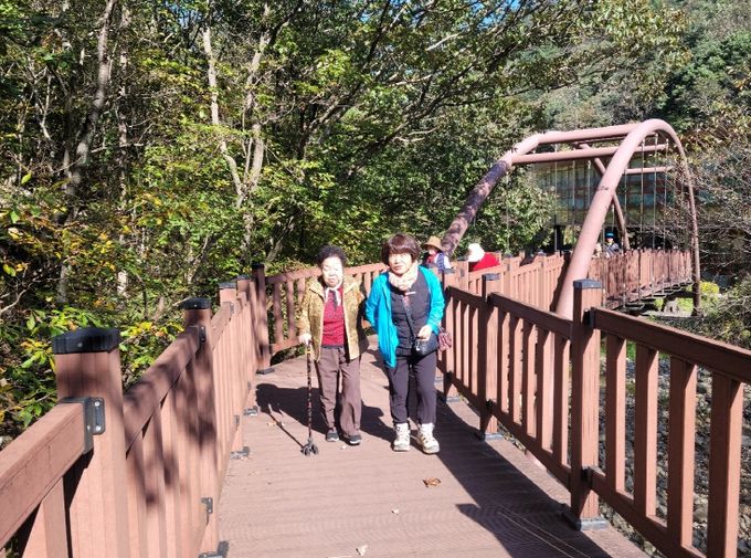 금산산림문화타운 무장애나눔길