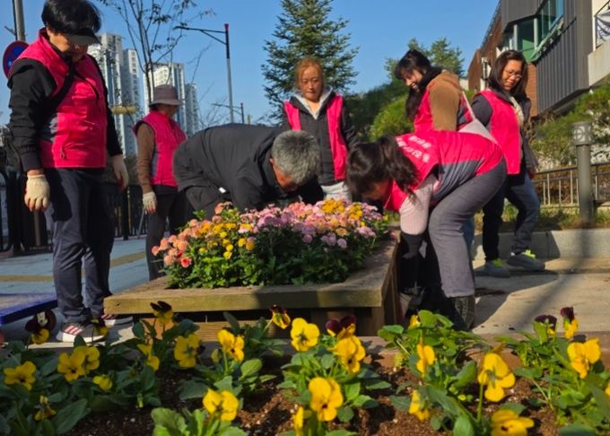 화성특례시 동탄3동 주민들이 청사 및 도로변에 비올라를 식재하고 있다