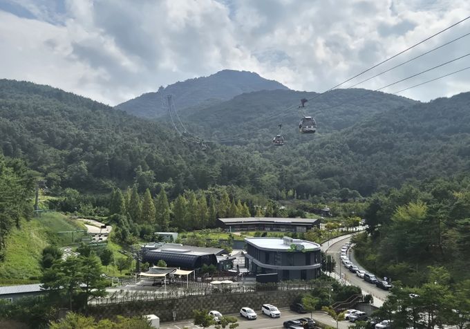 통영시, 전국 대상 숲가꾸기 우수사업지 선정