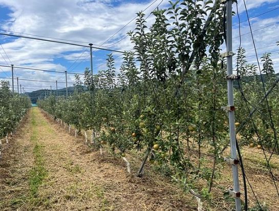 순천시, 농업인과 함께 과수 신기술 벤치마킹 추진