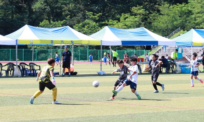 2025 백암드림컵 전국 유소년 축구대회