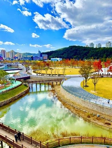 단풍따라 대전 한 바퀴… 어디를 가도 인생샷 명소