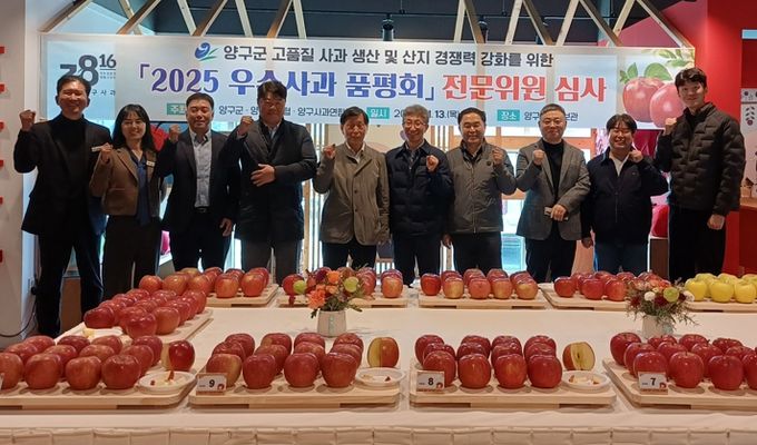 양구 우수 사과 품평회, 이성일 씨 2년 연속 대상 영예