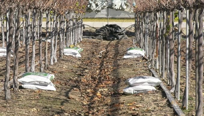 남원시, 2026년 유기질비료 지원사업 신청접수 실시