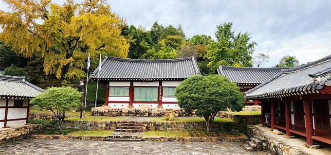 노란 은행잎 물드는 11월, 문학과 역사의 숨결 ‘이균영’을 찾아 - 관광과(故이균영 작가가 어린시절 뛰놀던 광양향교의 은행잎이 노랗게 물들었다)