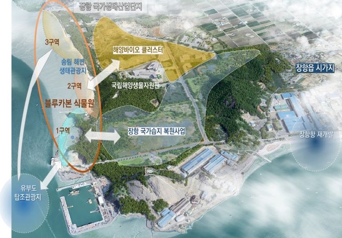 서천군, 서천갯벌 세계유산 보전·블루카본 메카 도약 박차