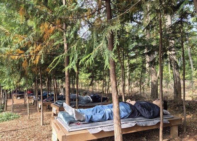 노원구, ‘불암산 힐링타운’서 세계 치유 전문가들 맞이