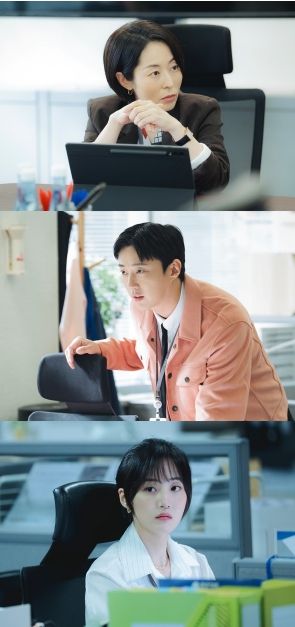 사진 제공: SLL, 아이엔, 글뫼