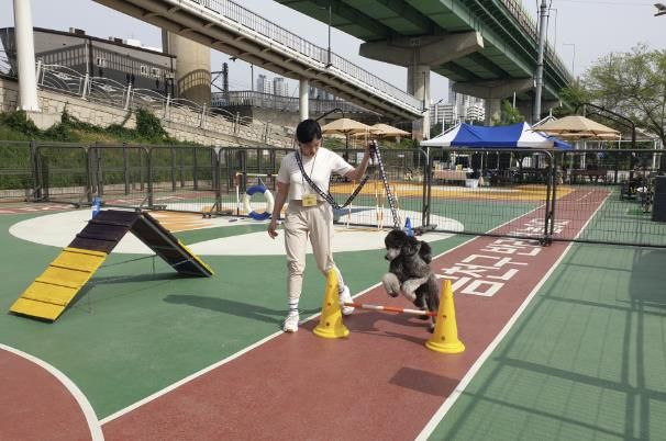 2025년 금천구 반려견 놀이터에서 운영한 반려동물 문화교실 프로그램