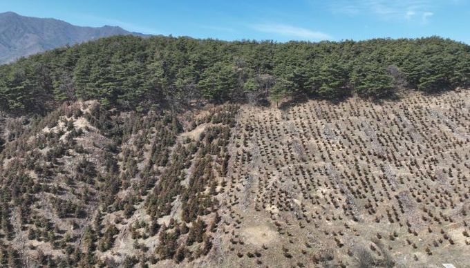 산청군, 경남도 산림자원분야 평가 장려상..조림·숲가꾸기 효율 관리