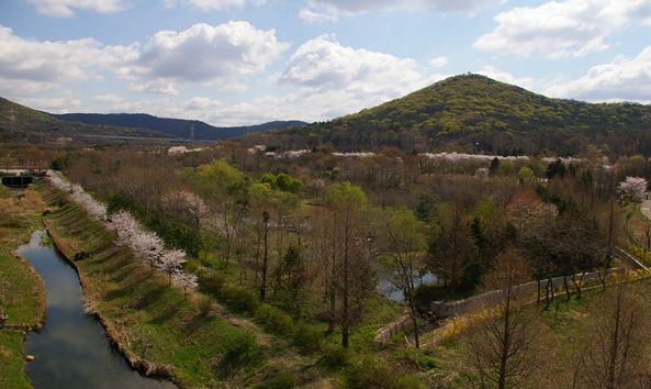 도란도란 유아숲체험원 개방 지역