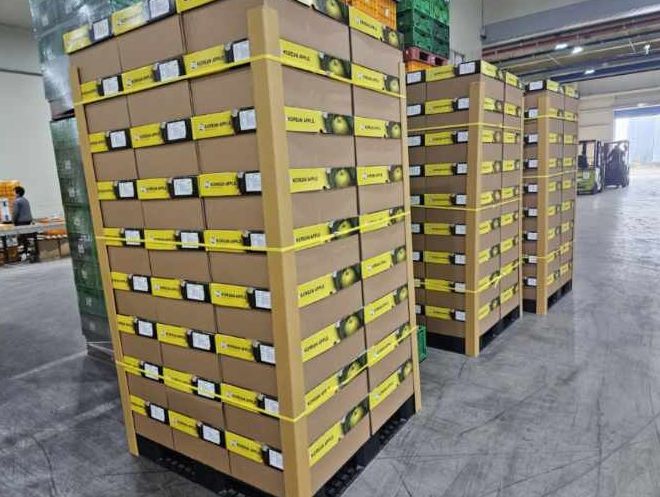 보은군, ‘결초보은 사과’ 베트남 하노이로 수출