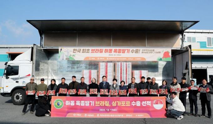 하동딸기 수출 선적식