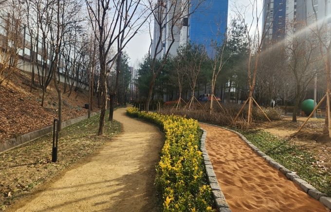 대구 동구청은 최근 봉무동 1619번지 일원에 봉무동 완충녹지 맨발산책로 조성사업을 완료했다.
