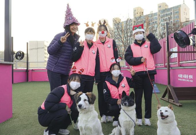서대문구청 여자농구단이 최근 반려동물 복합문화 공간인 ‘서대문 내품애(愛)센터’에서 봉사활동을 펼쳐 주위에 귀감이 됐다.