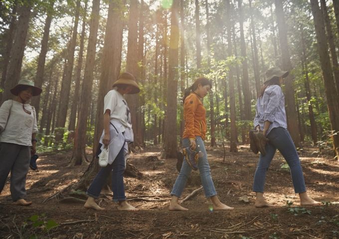 산림치유프로그램 오감걷기