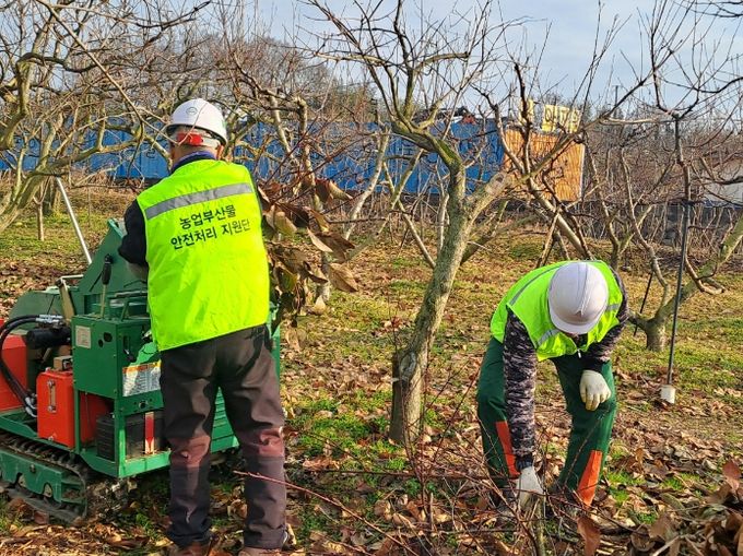영농부산물 안전처리 지원단 운영 모습