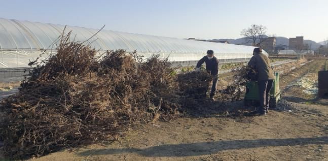 영농부산물 처리 현장 사진
