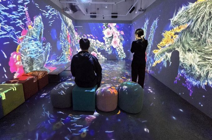 달서구, 국립극장 실감콘텐츠 상영…“공연예술을 디지털로 만나다”