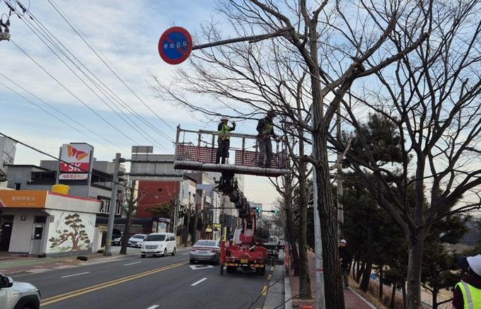 진주시, 가로수·녹지대 조경수 전정작업 실시
