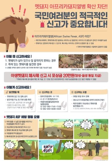 멧돼지 아프리카돼지열병 확산 차단 포스터