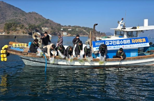 어린 대구 1천만 마리 방류
